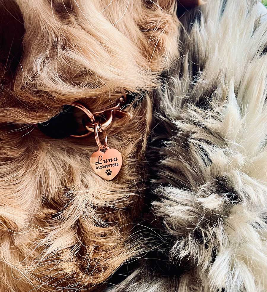 Hailey Hundemarke mit Gravur - personalisiert mit Name deines Hundes, Telefonnummer, Adresse, Tasso auf der Rückseite