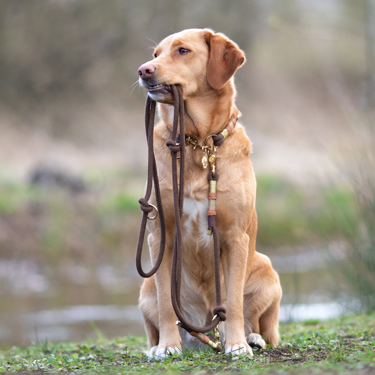 Loki Hundeleine - 3fach verstellbar, sanfte Erdtöne mit goldenen Scherenkarabinern