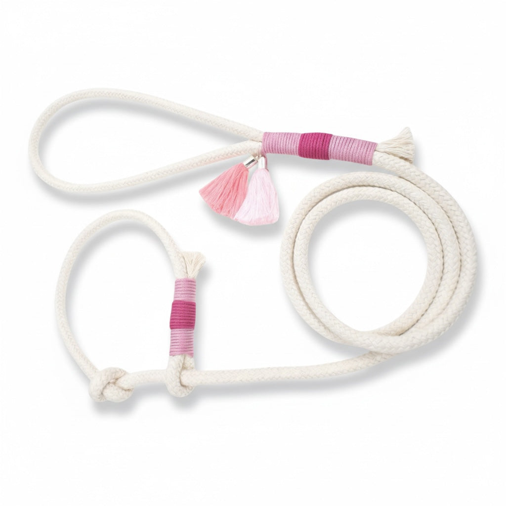 Yasmin Retriever-Hundeleine - ein Traum in Weiß & Rosa für kleinere Hunde - 3fach verstellbar, Scherenkarabiner